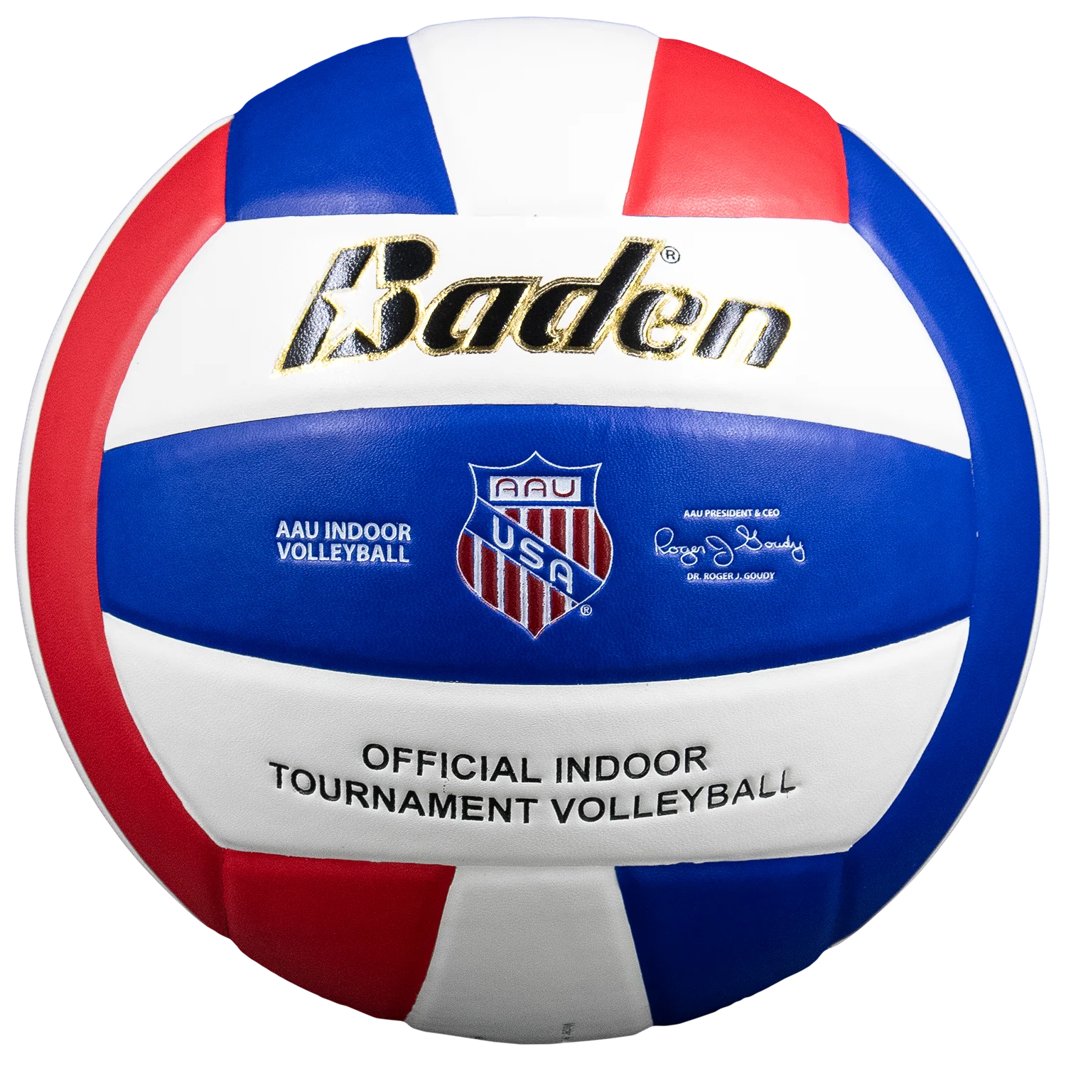 AAU Leather Volleyball