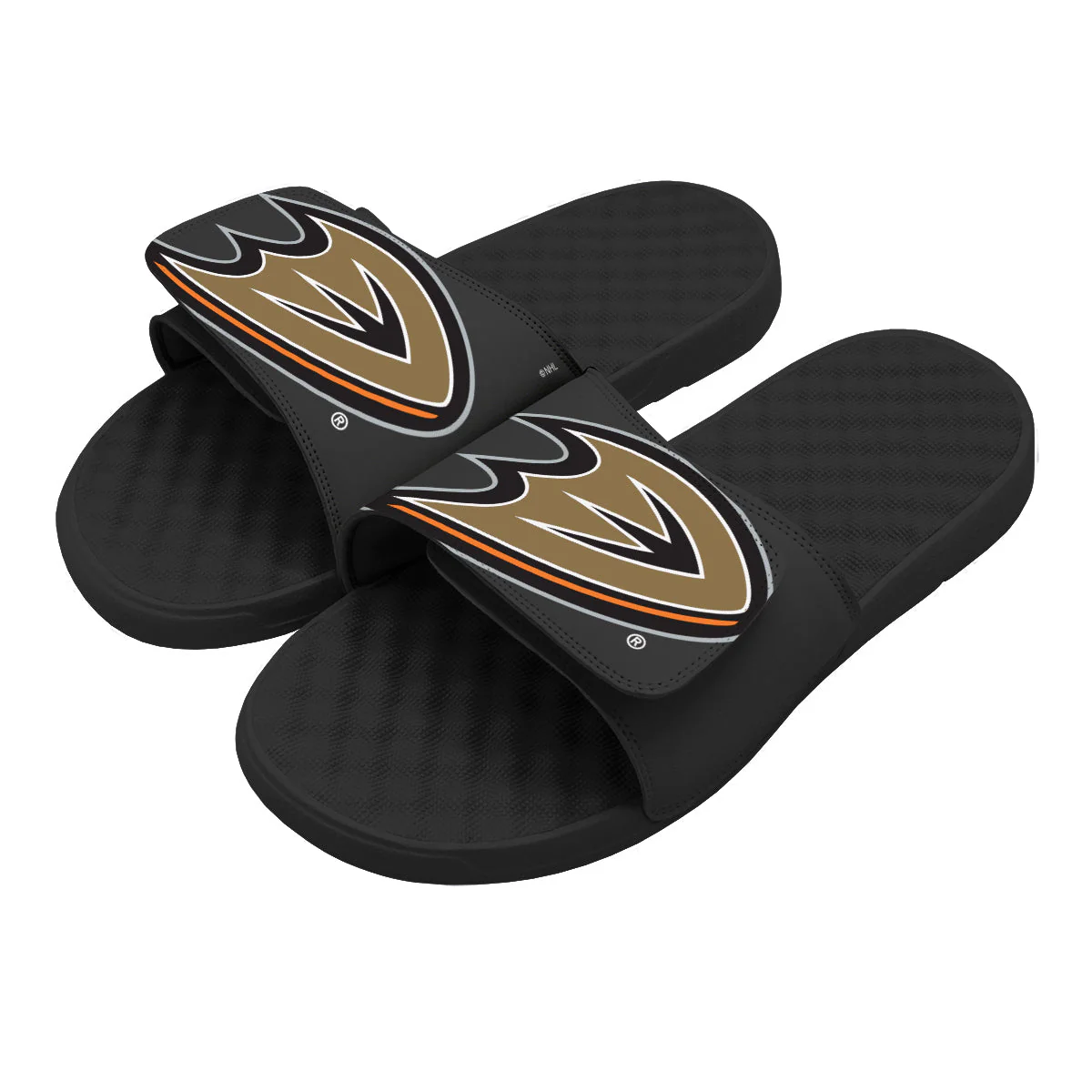 Anaheim Ducks Blown Up Slides