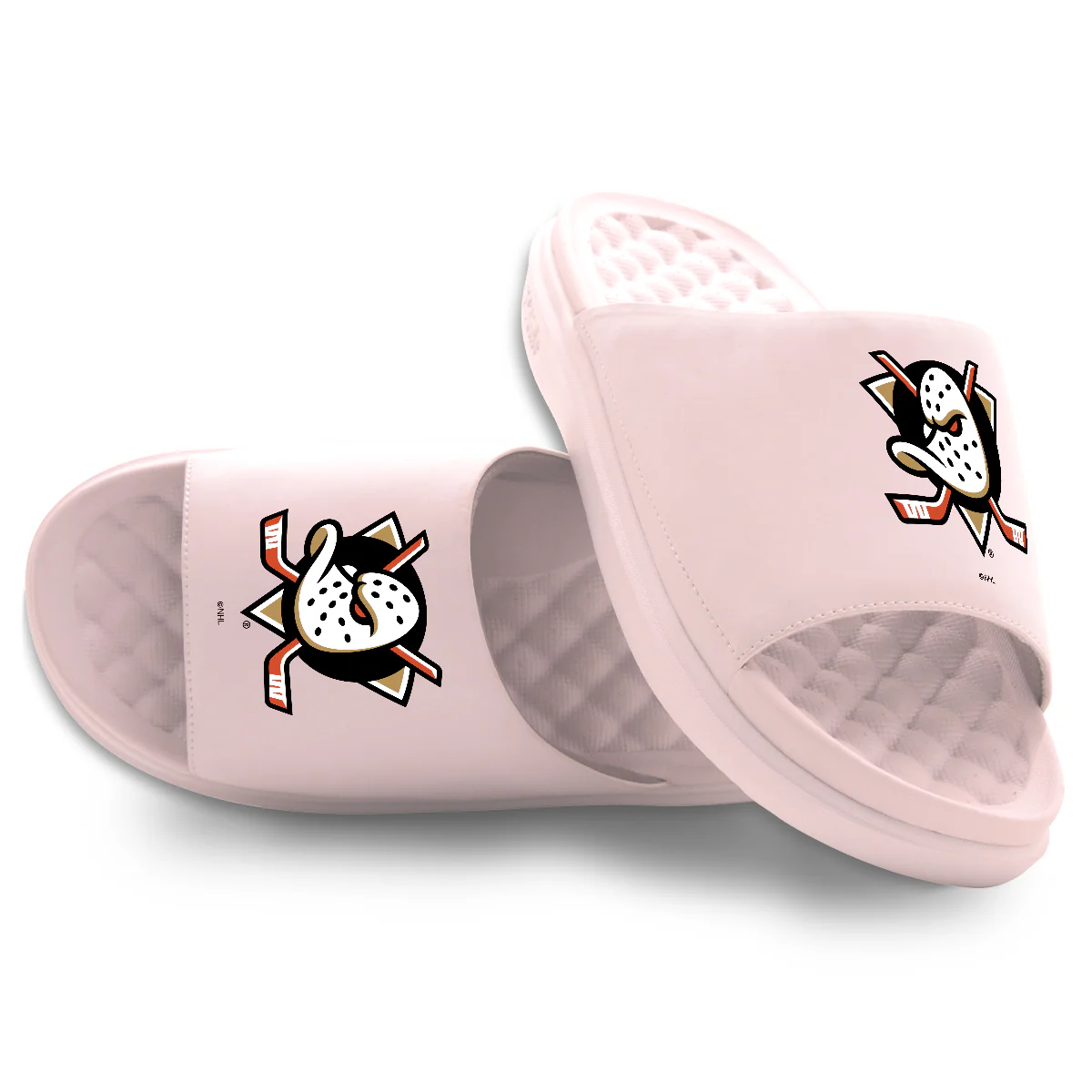 Anaheim Ducks Primary Motive - Image 13