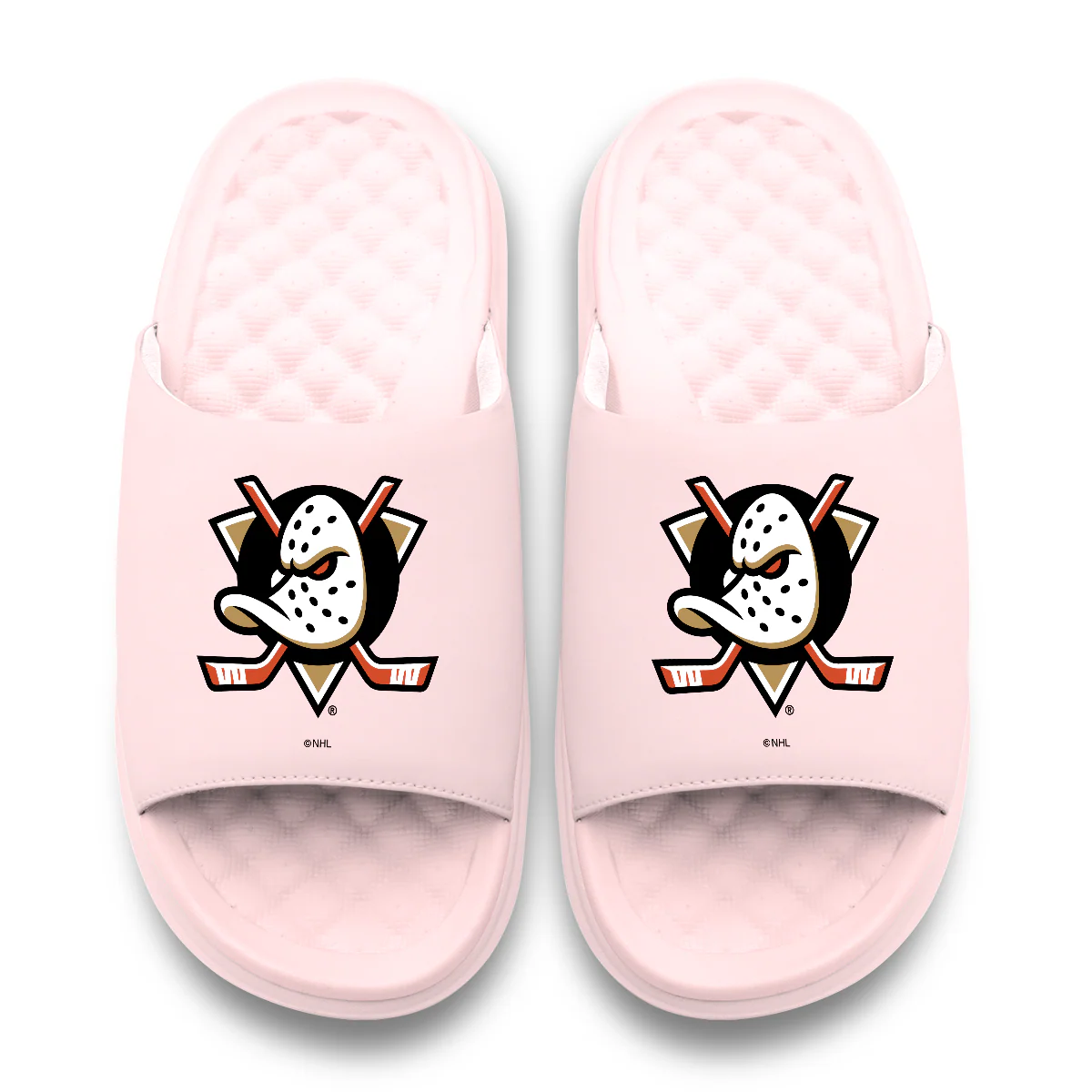 Anaheim Ducks Primary Motive - Image 14