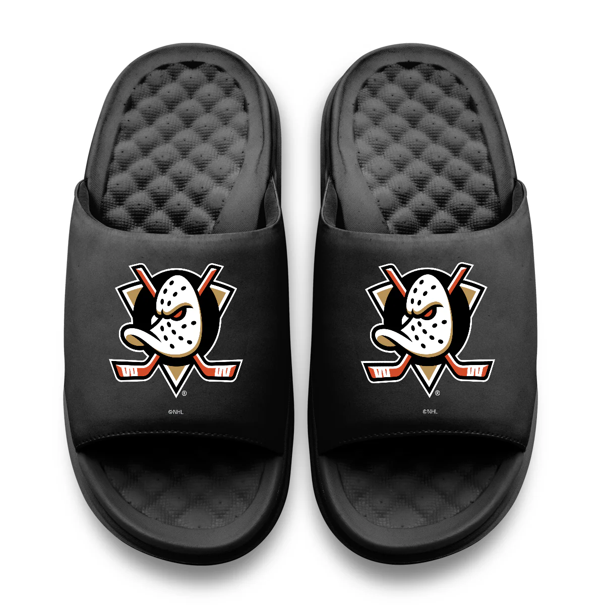 Anaheim Ducks Primary Motive - Image 2