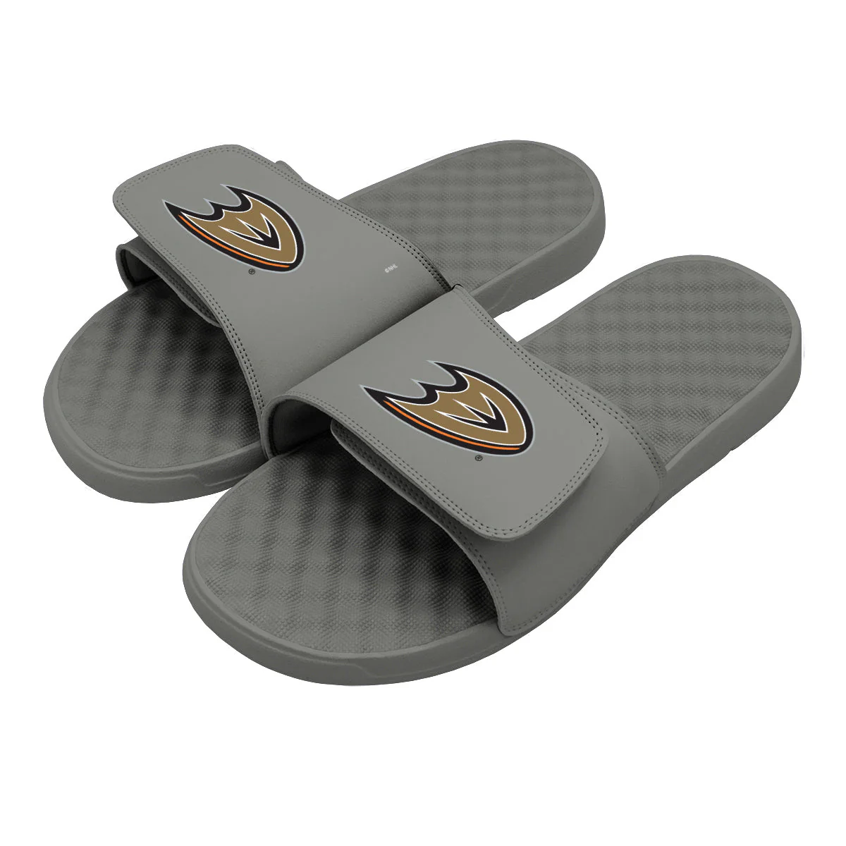 Anaheim Ducks Primary Slides - Image 2