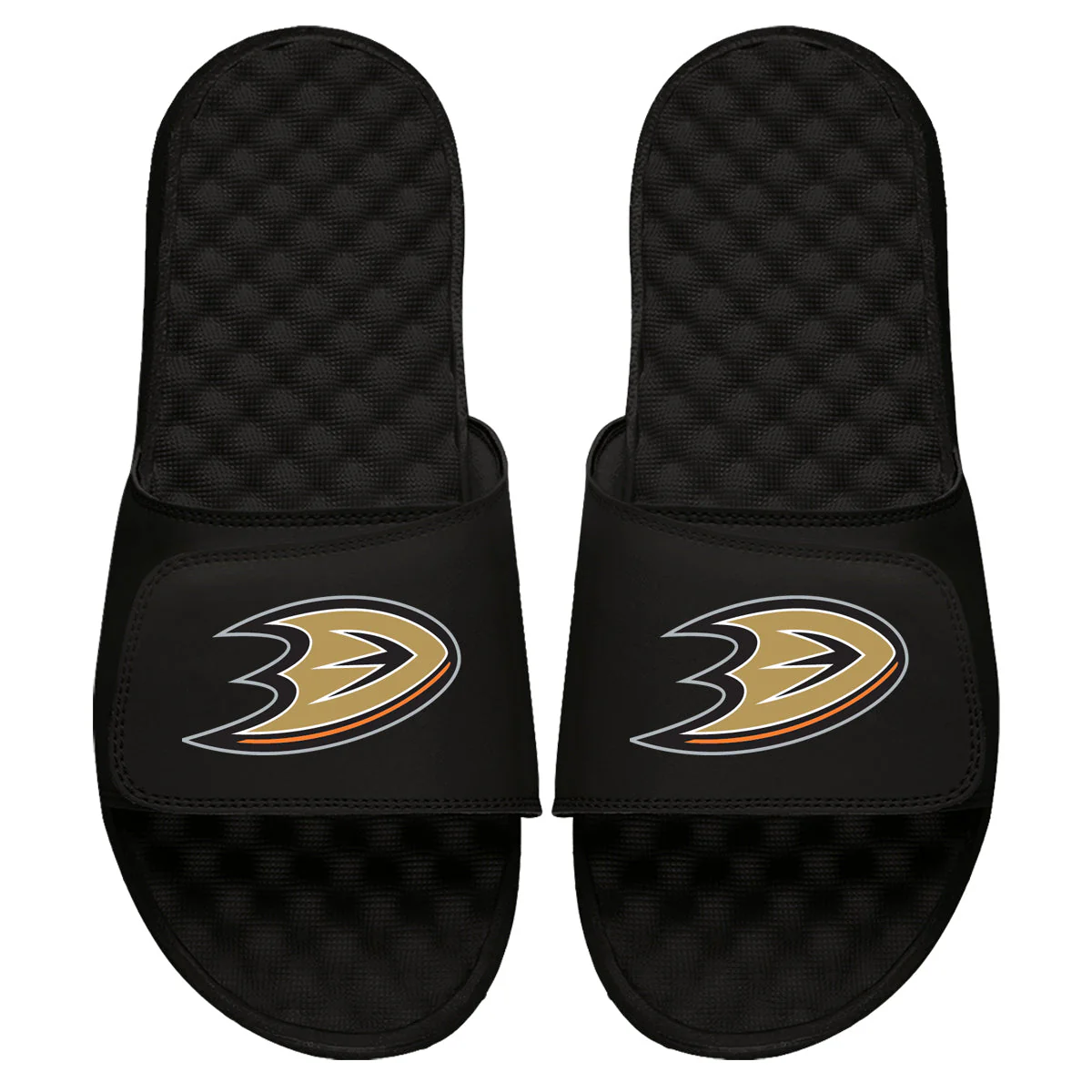 Anaheim Ducks Primary Slides - Image 3