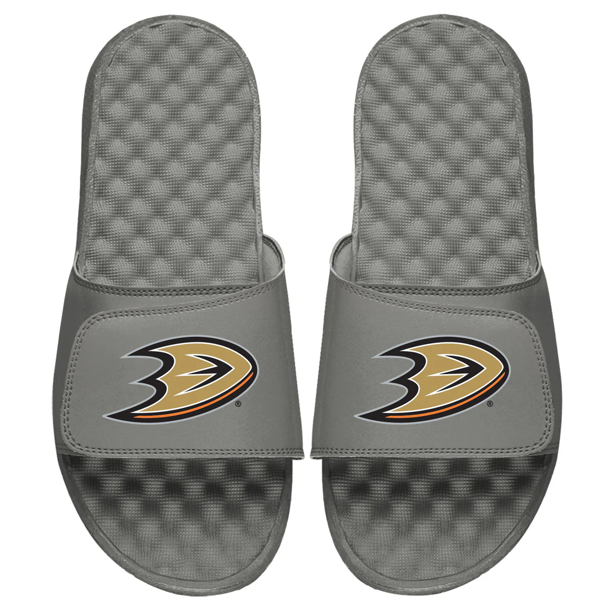 Anaheim Ducks Primary Slides - Image 4