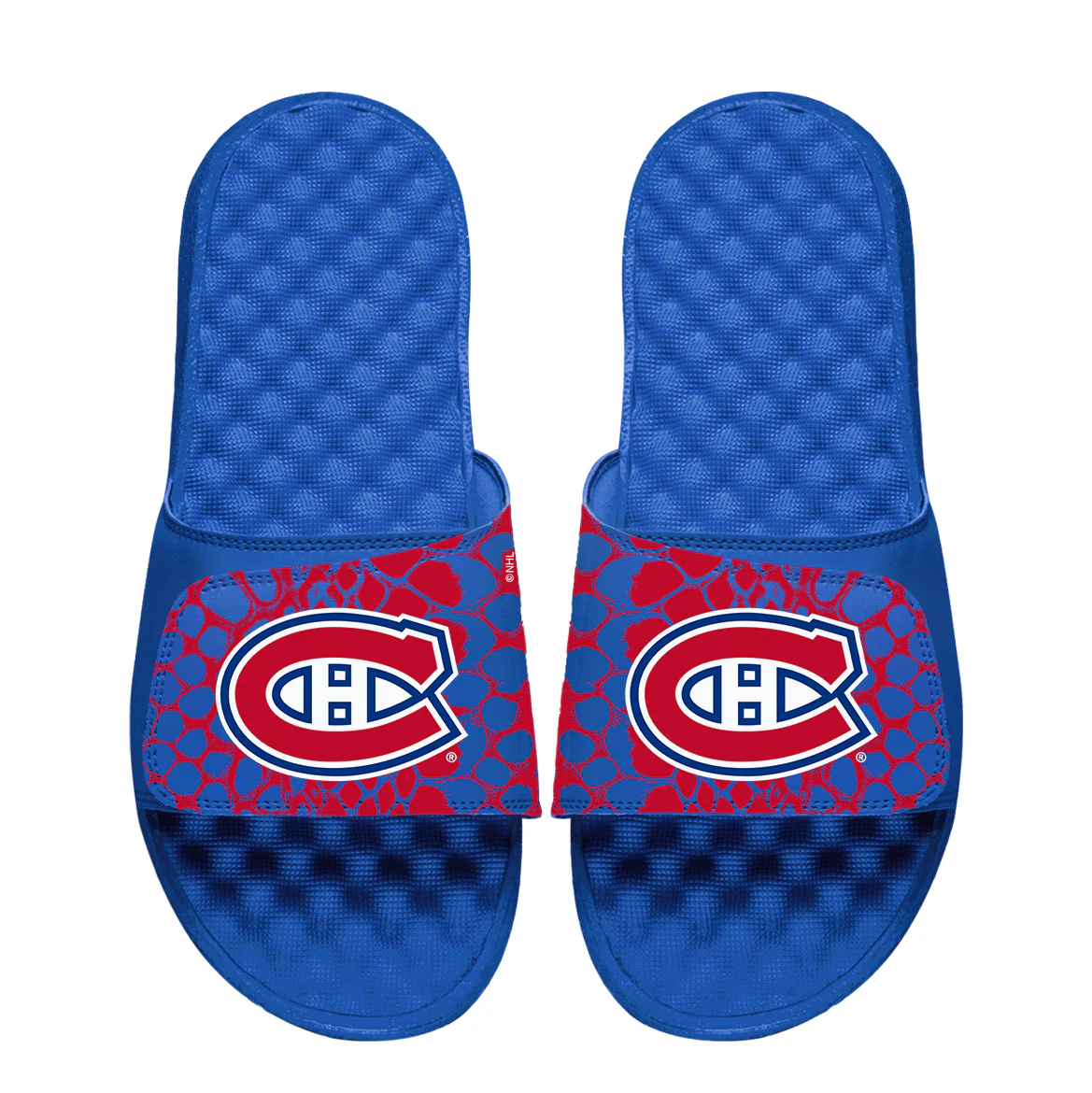 Canadiens Year of the Snake