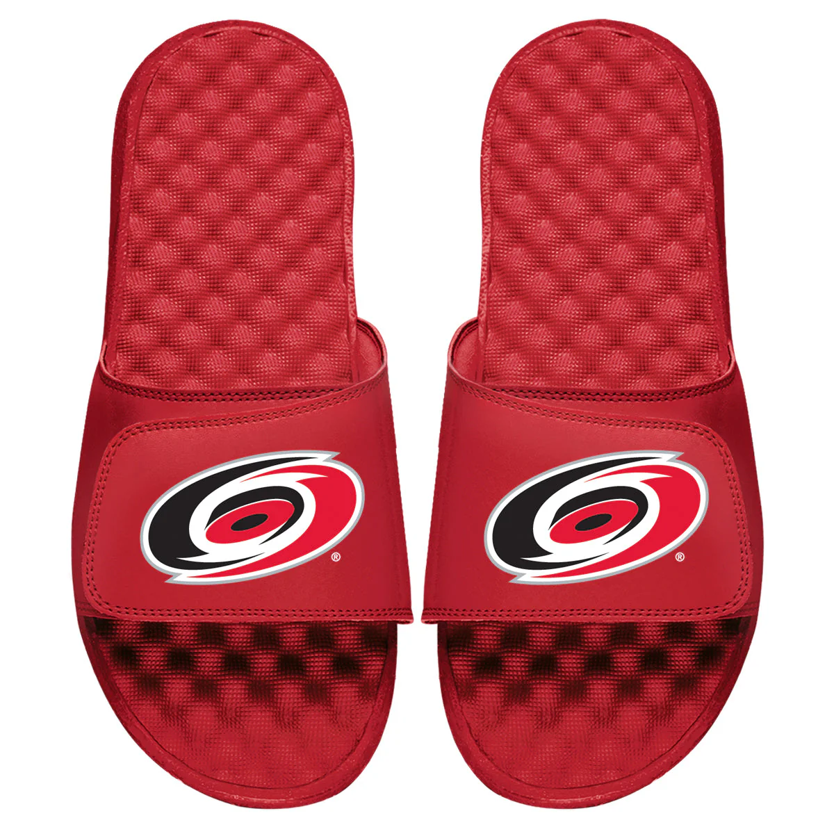 Carolina Hurricanes Primary Slides - Image 3