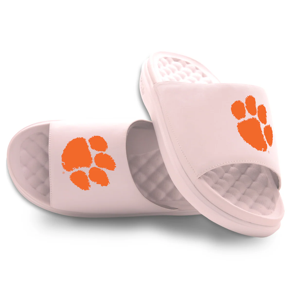 Clemson Tigers Primary Motive Slides - Image 12