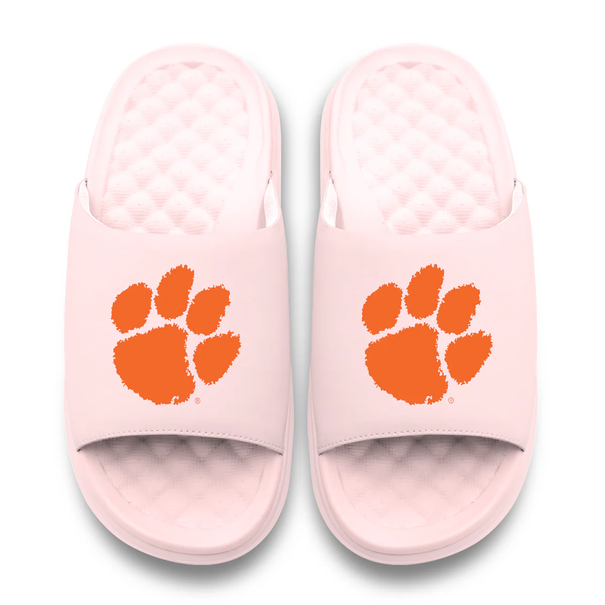 Clemson Tigers Primary Motive Slides - Image 13