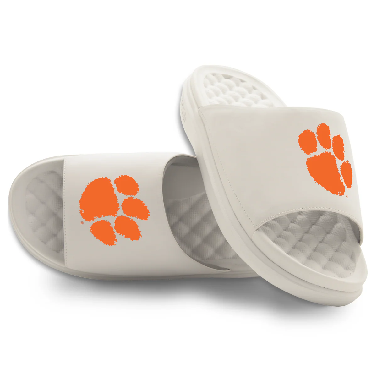 Clemson Tigers Primary Motive Slides - Image 7