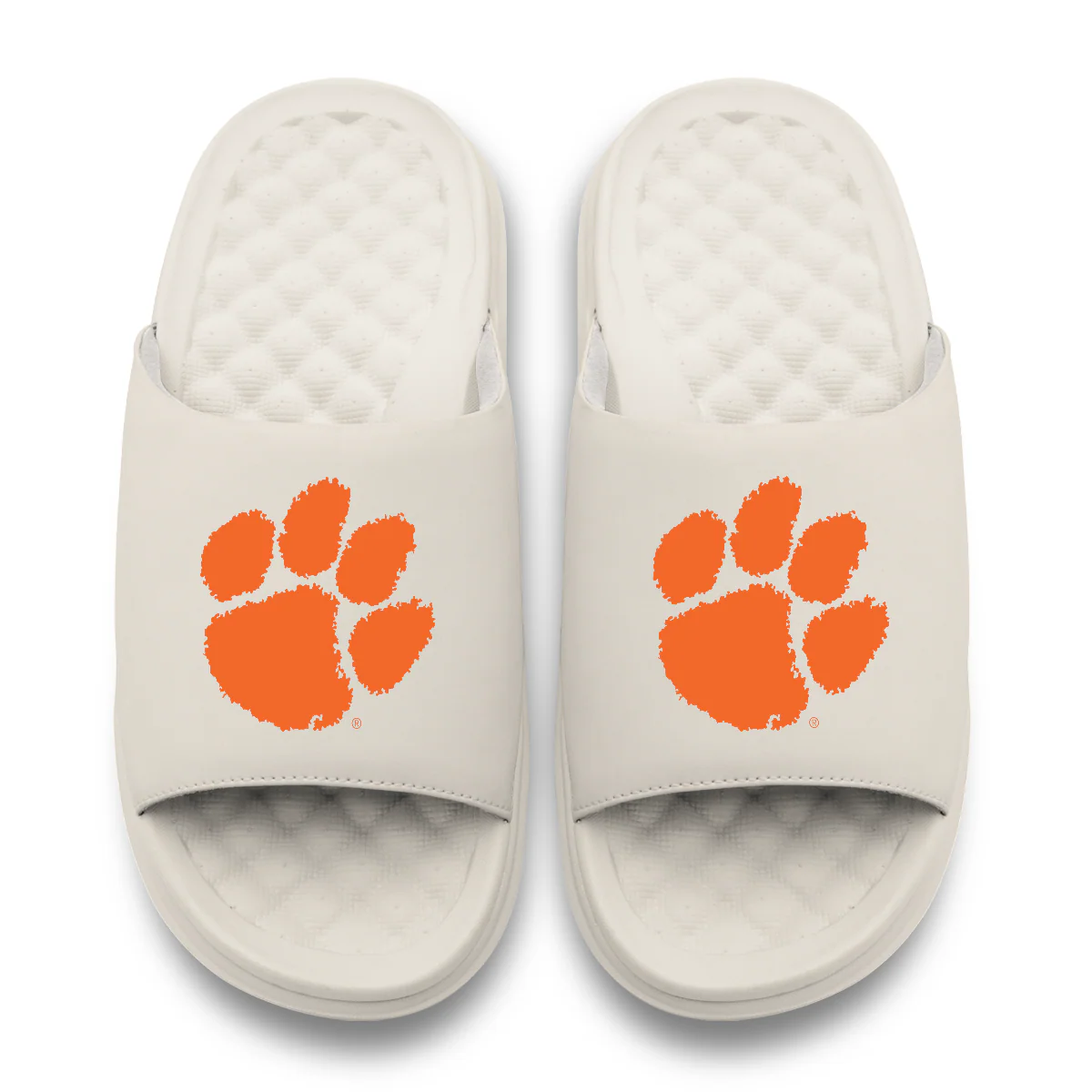 Clemson Tigers Primary Motive Slides - Image 8