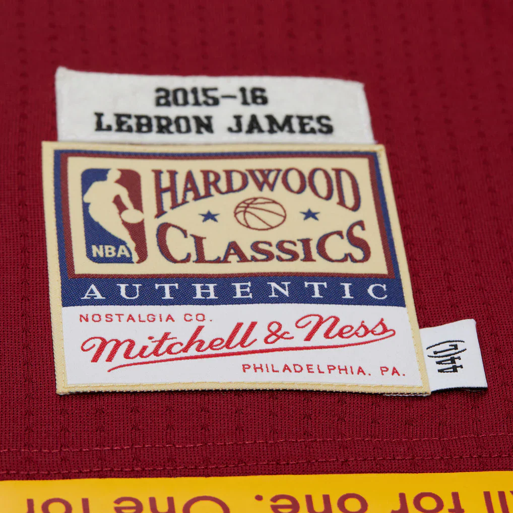 Cleveland Cavaliers NBA 2015 Lebron James Swingman Road Jersey - Image 4