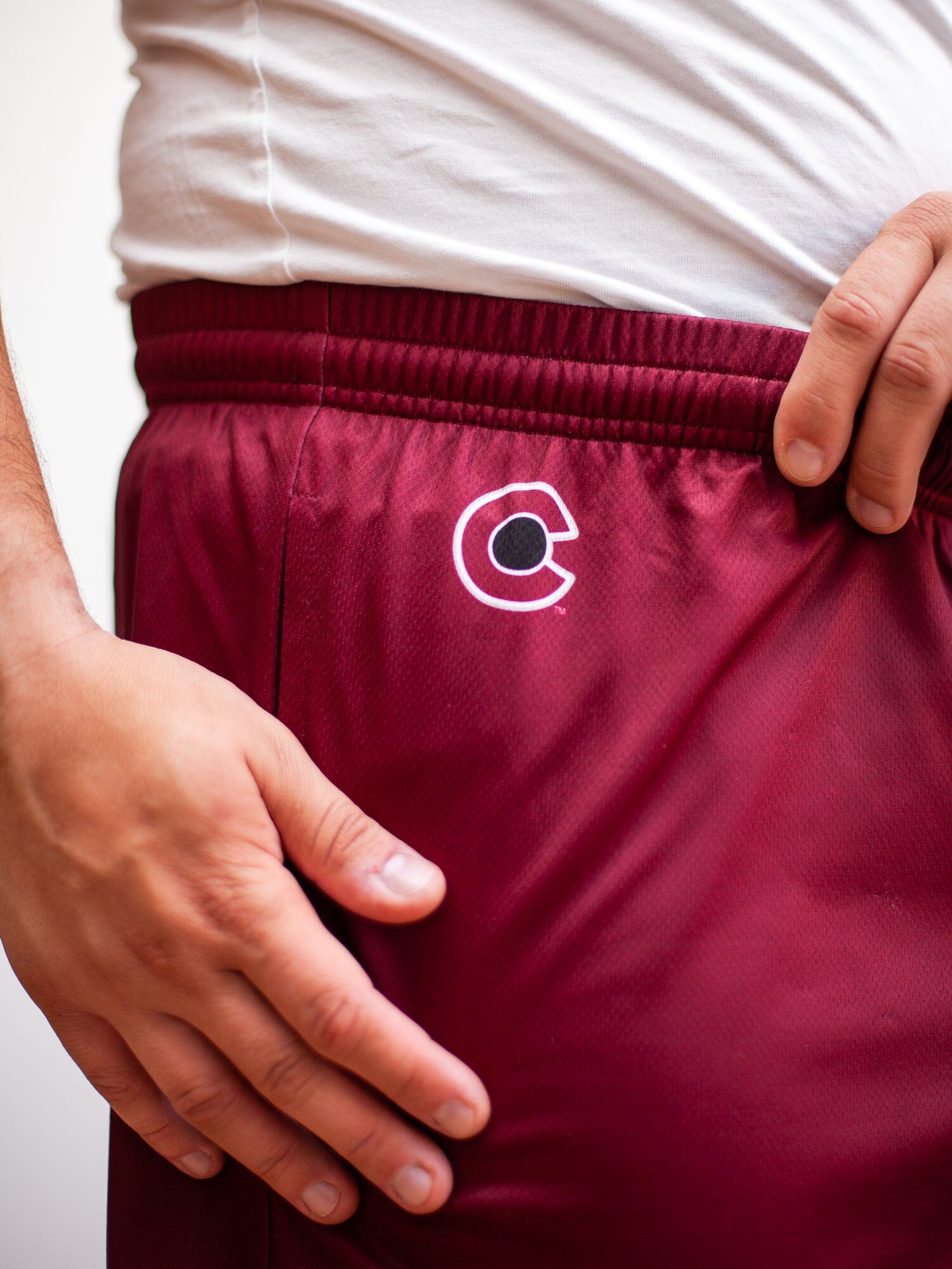 Colorado Avalanche Mesh Hockey Shorts - Image 2