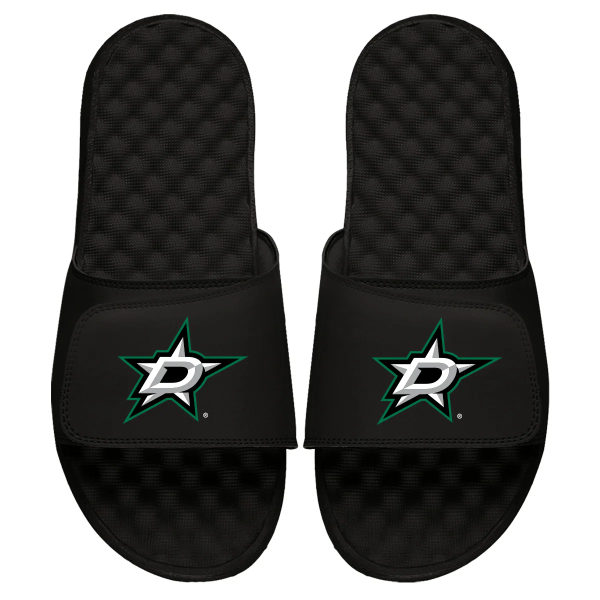 Dallas Stars Primary Slides - Image 2