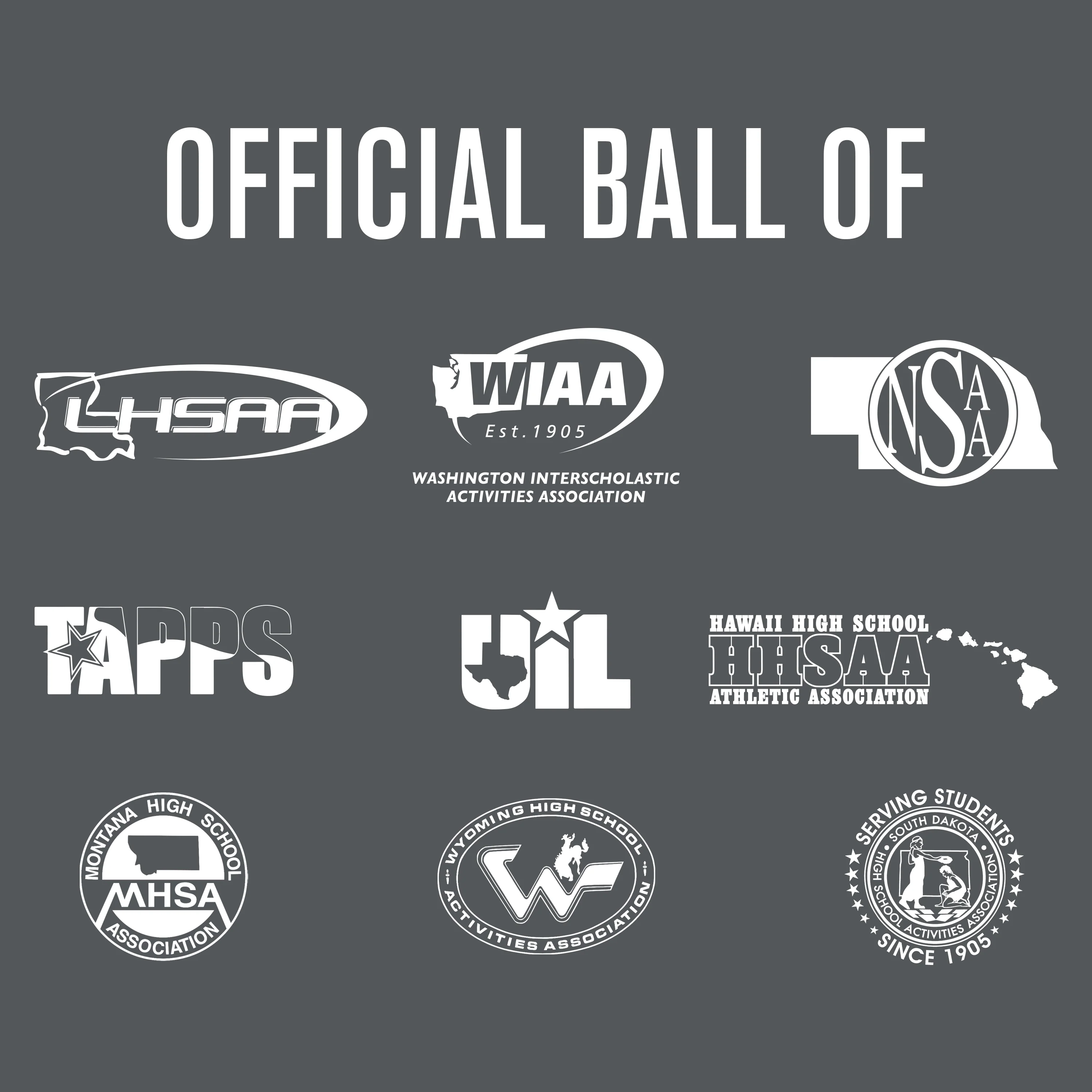 Elite Pro Official Game Basketball - Image 2