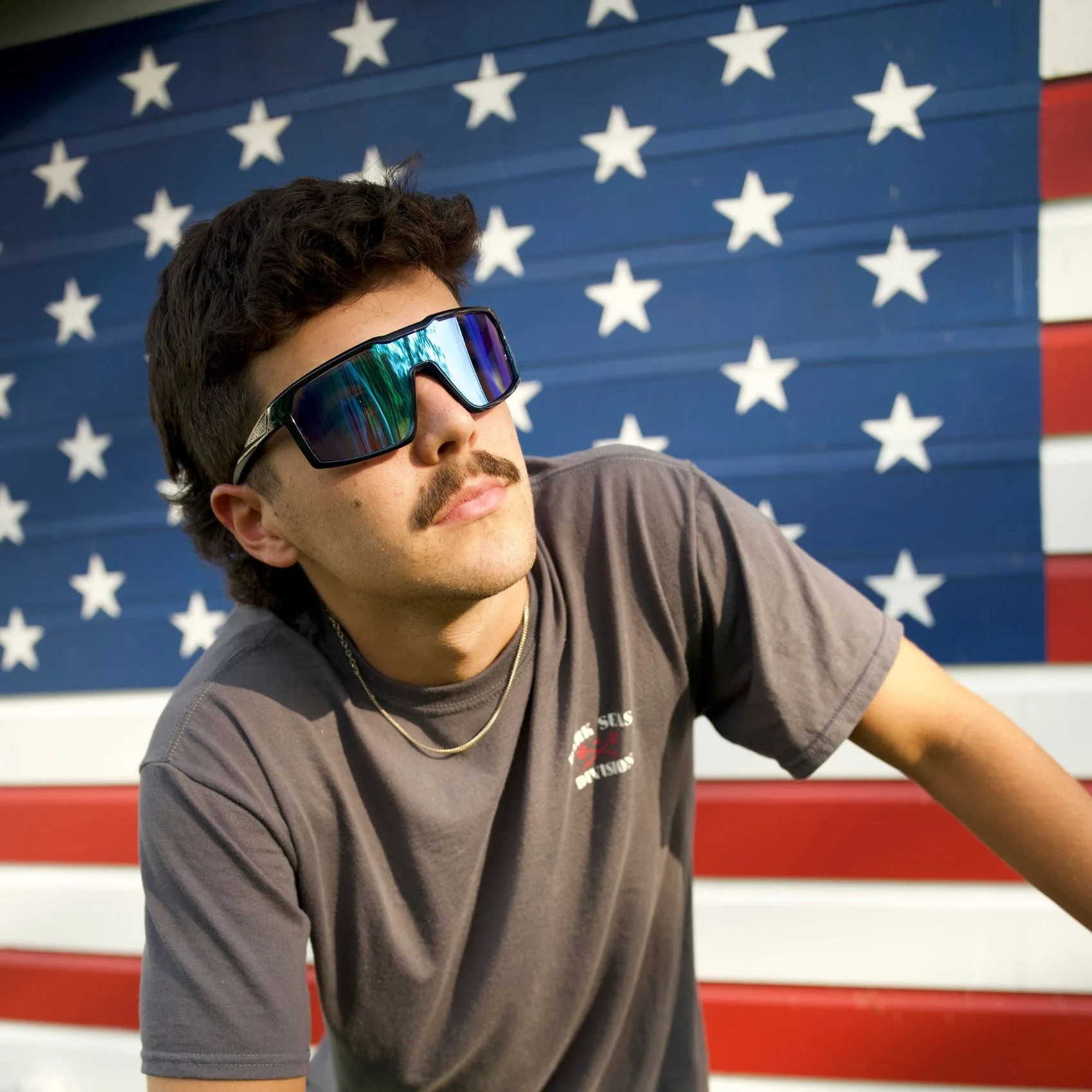 Ellijay Sunglass Shield - Image 8