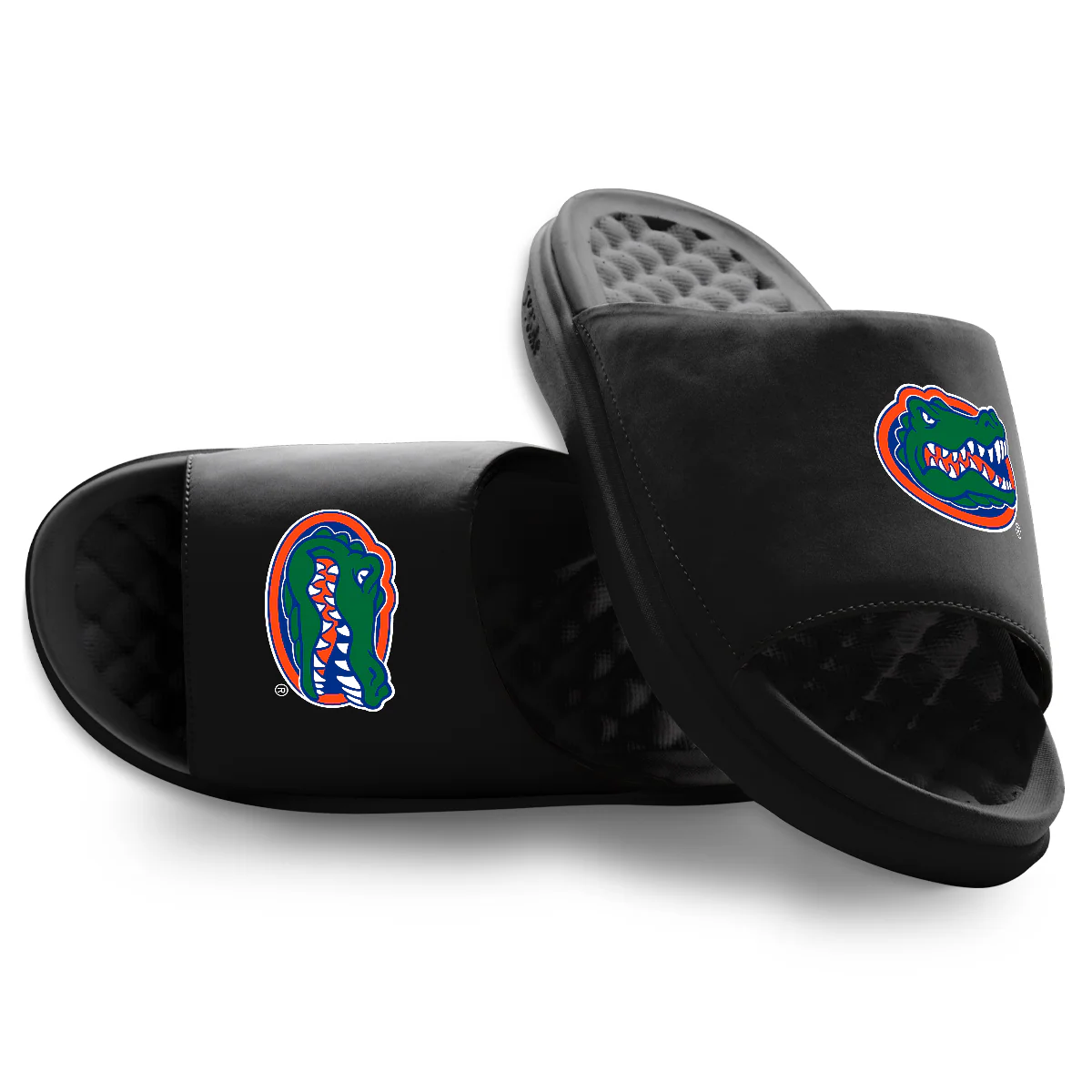 Florida Gators Primary Motive Slides