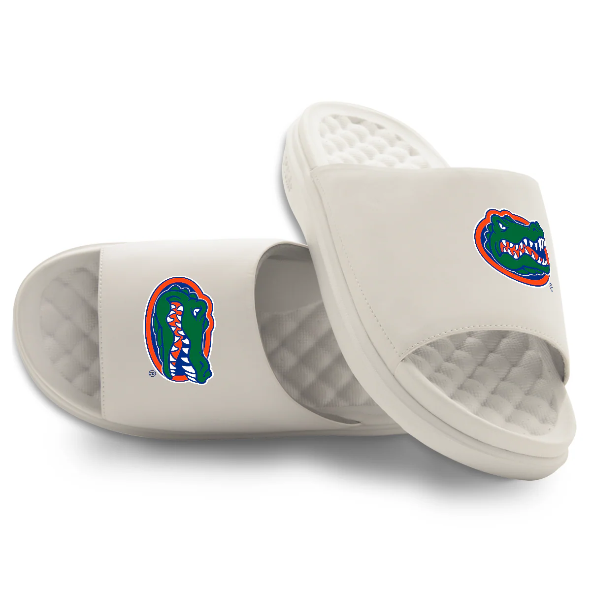Florida Gators Primary Motive Slides - Image 7