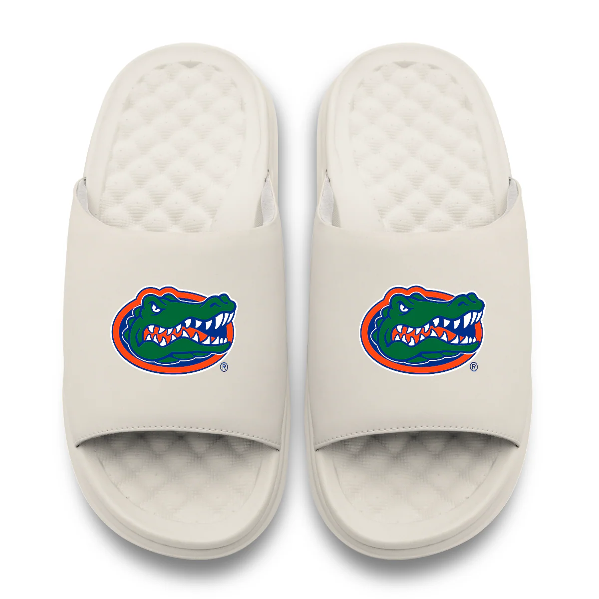 Florida Gators Primary Motive Slides - Image 8