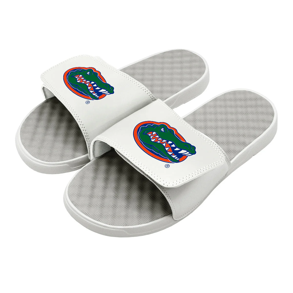 Florida Gators Primary Slides