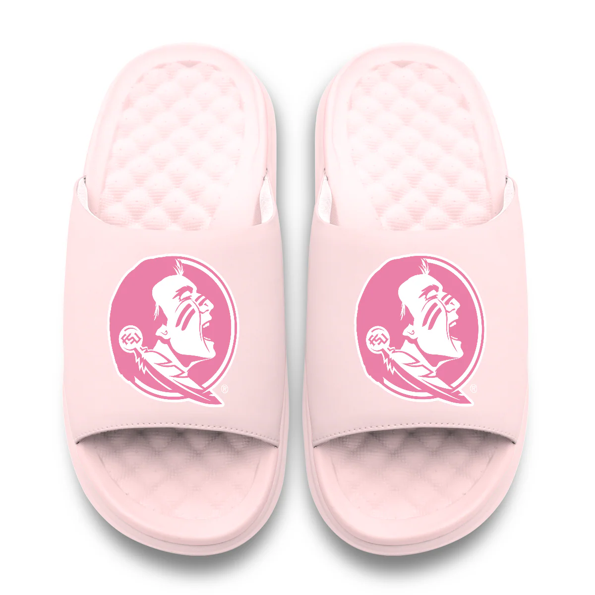 Florida State Seminoles Primary Motive - Image 13