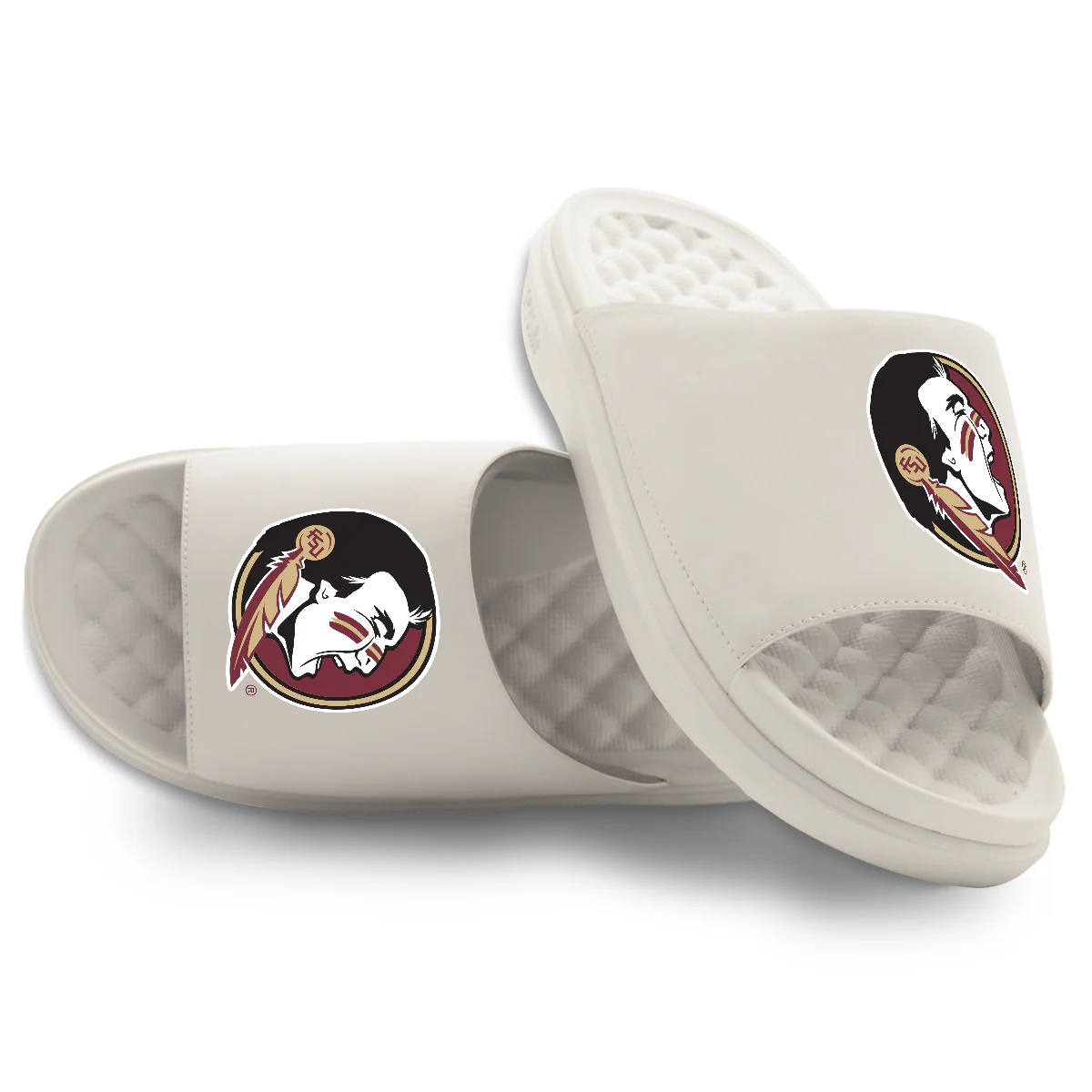 Florida State Seminoles Primary Motive - Image 7
