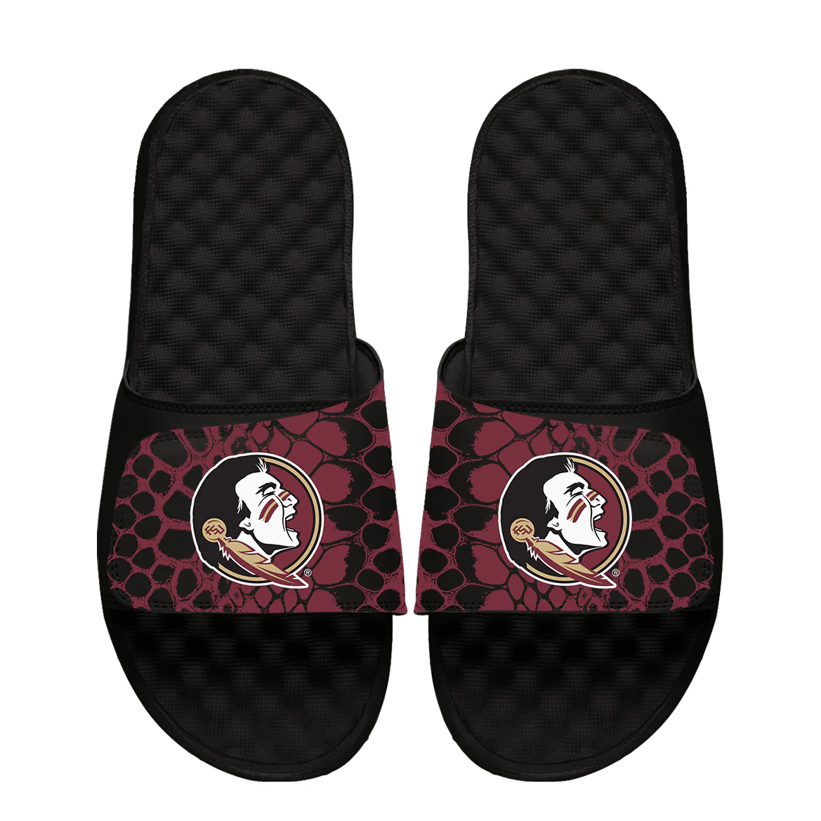 Florida State Seminoles Year of the Snake