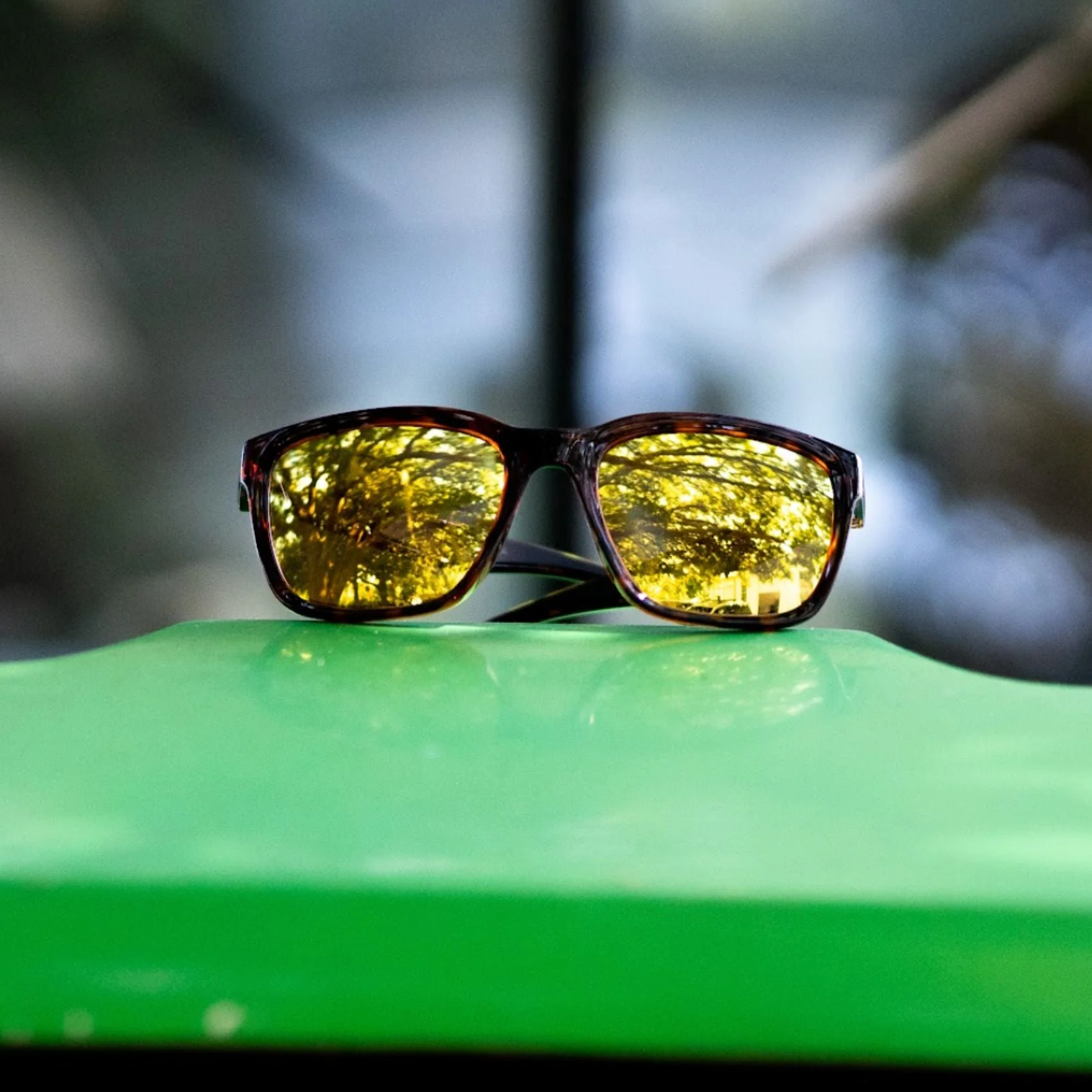 Folly Sunglasses - Image 16