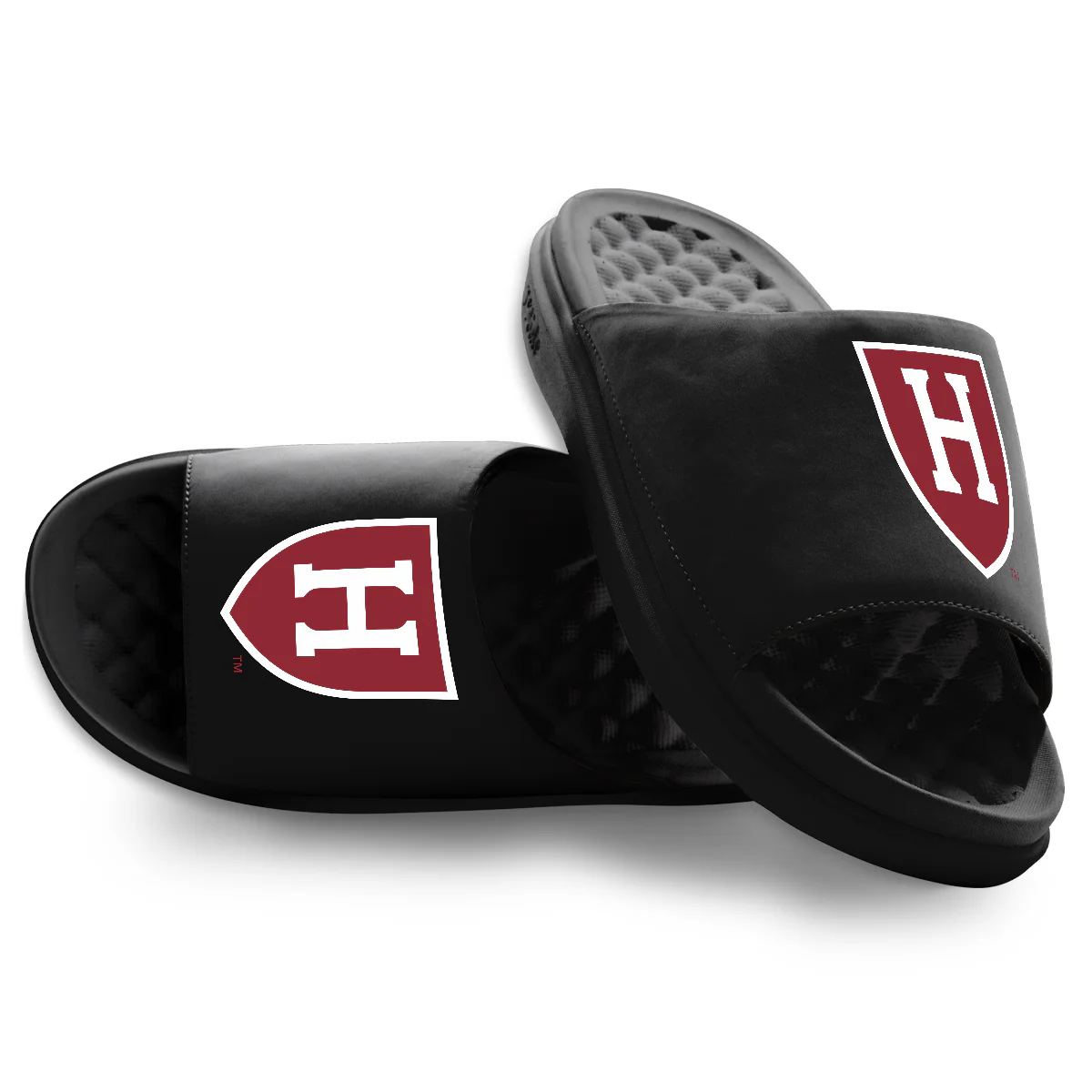 Harvard Crimson Primary Motive Slides