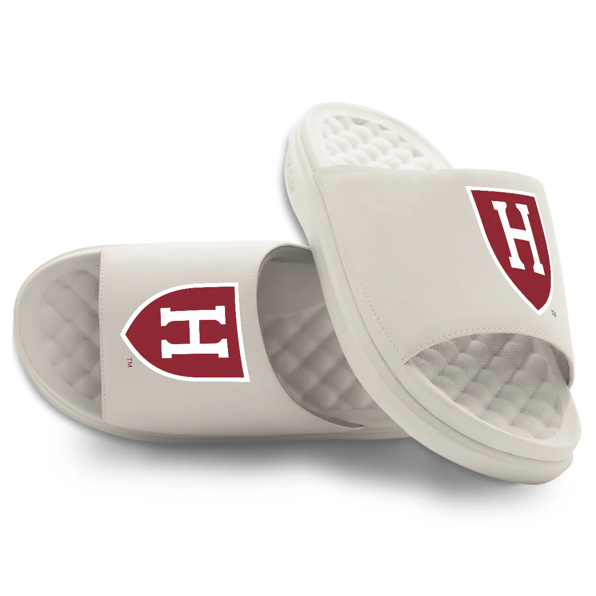 Harvard Crimson Primary Motive Slides - Image 10