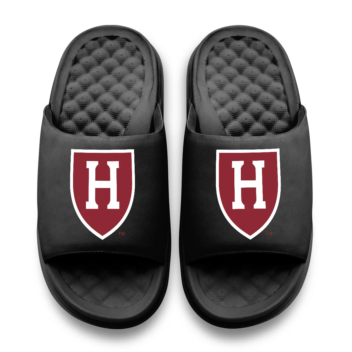 Harvard Crimson Primary Motive Slides - Image 5