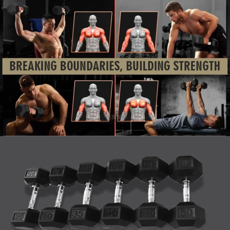 HDRS Rubber Coated Dumbbell with Contoured Chrome Handle - Image 11