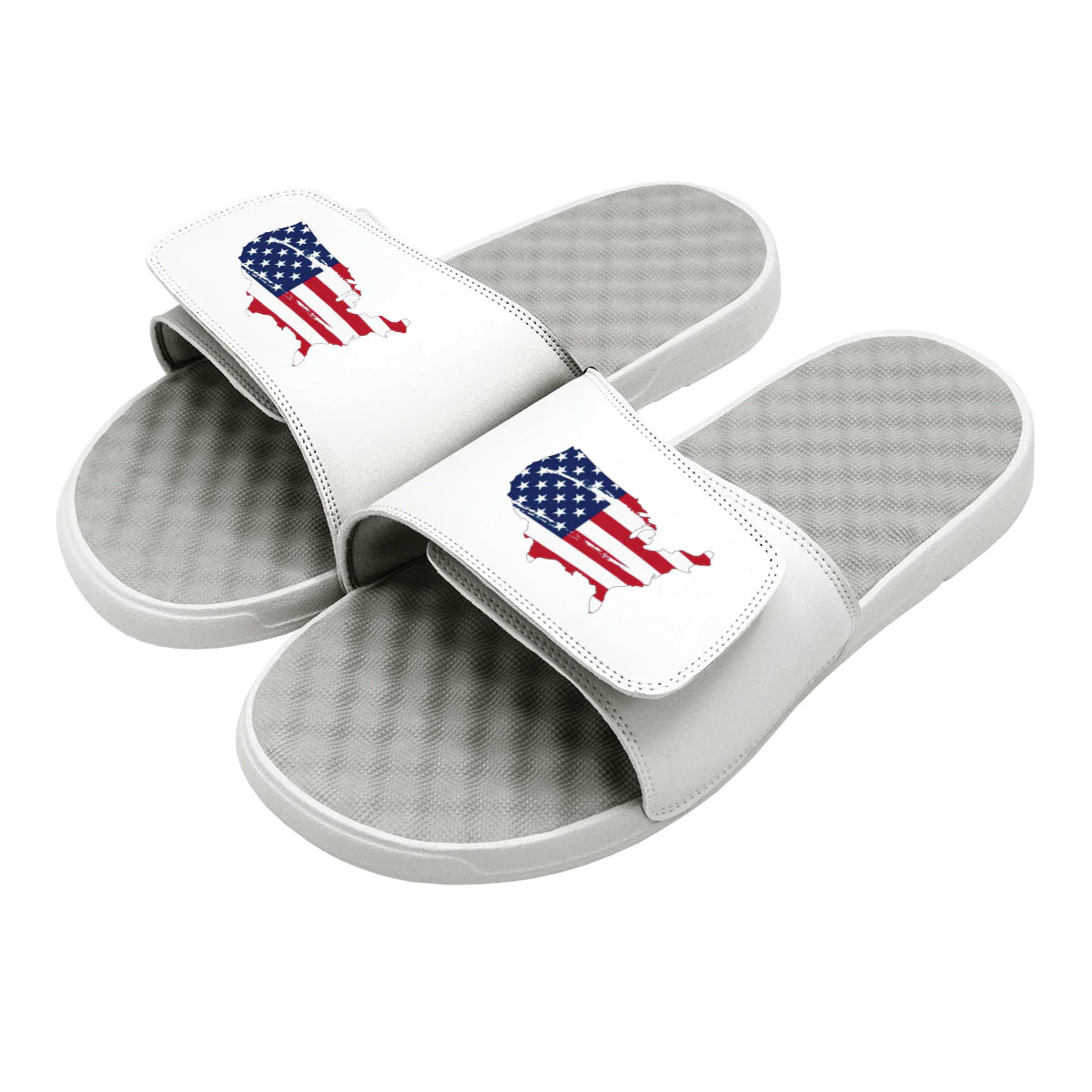 Land of the Free Slides - Image 3