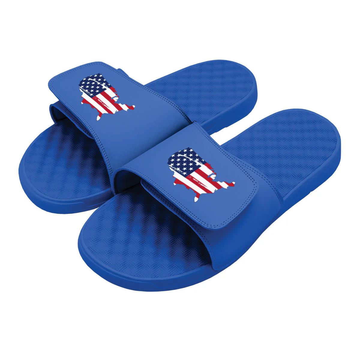 Land of the Free Slides - Image 4