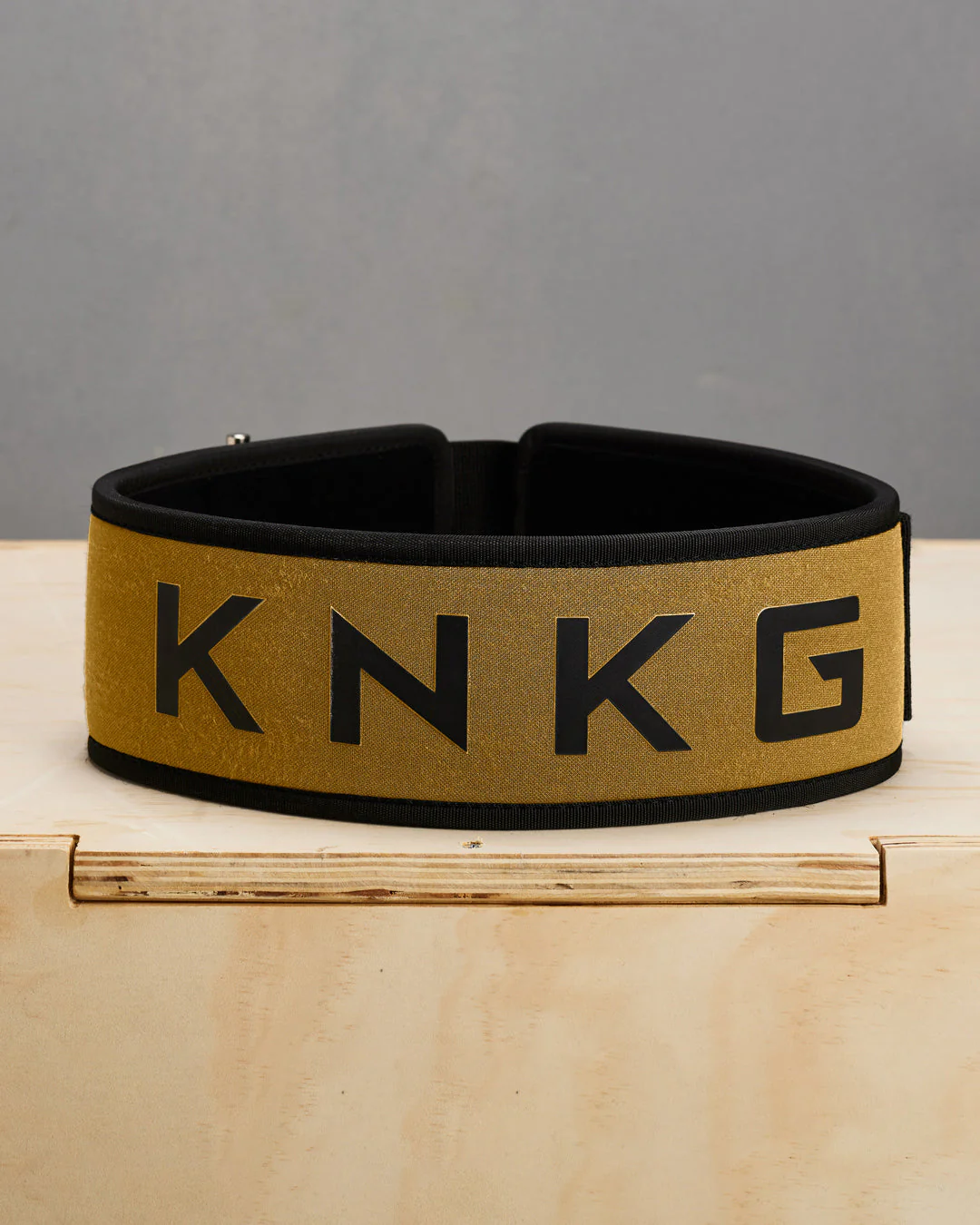 Matching Lifting Belt - Image 16