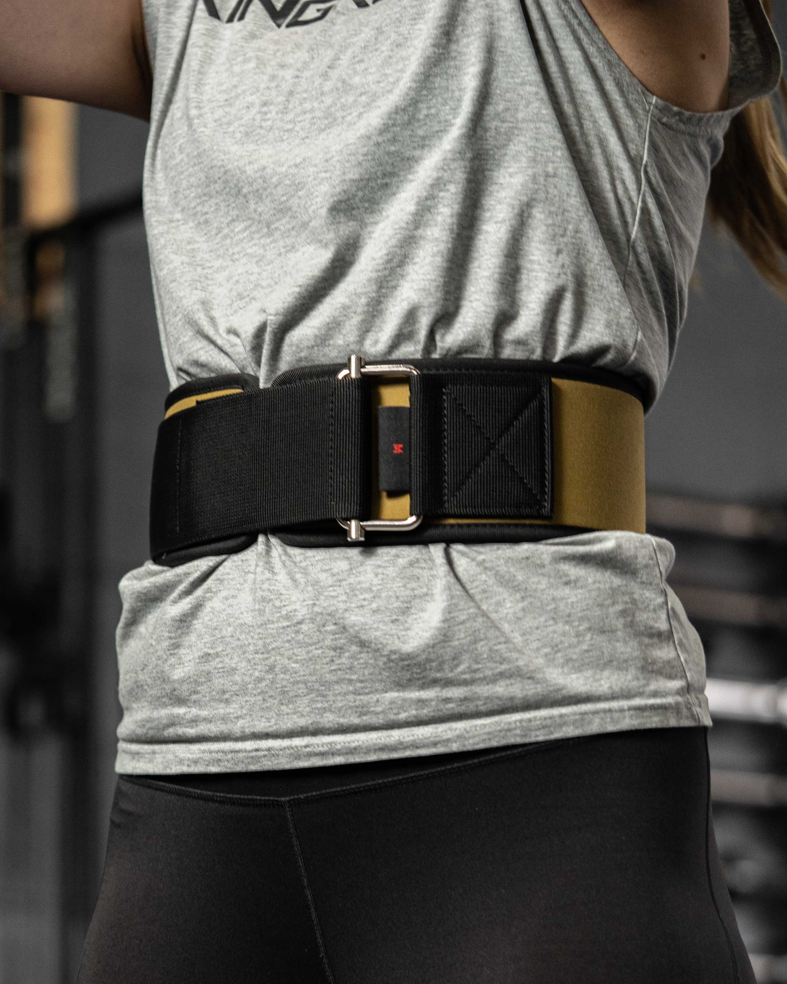 Matching Lifting Belt - Image 18