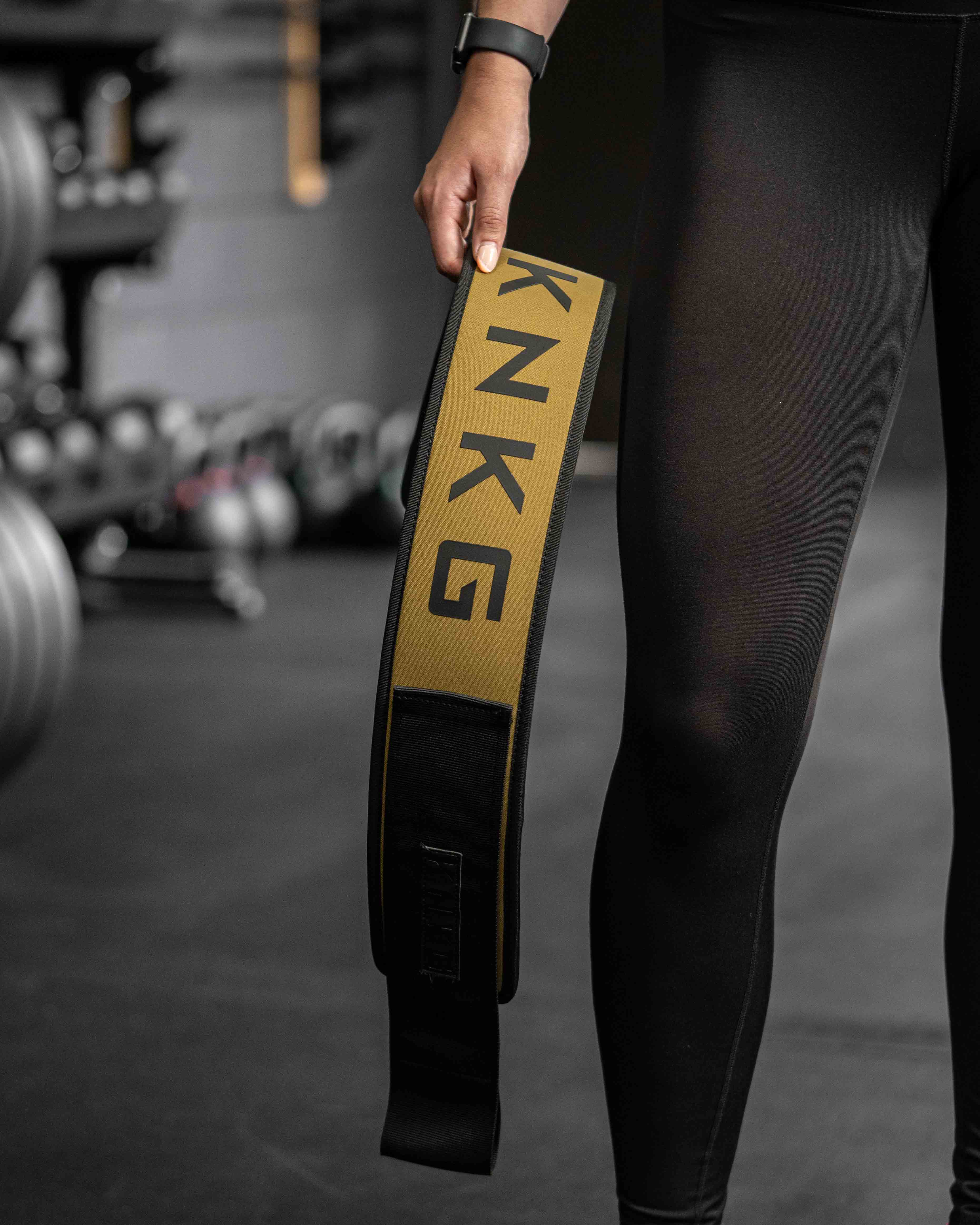 Matching Lifting Belt - Image 19