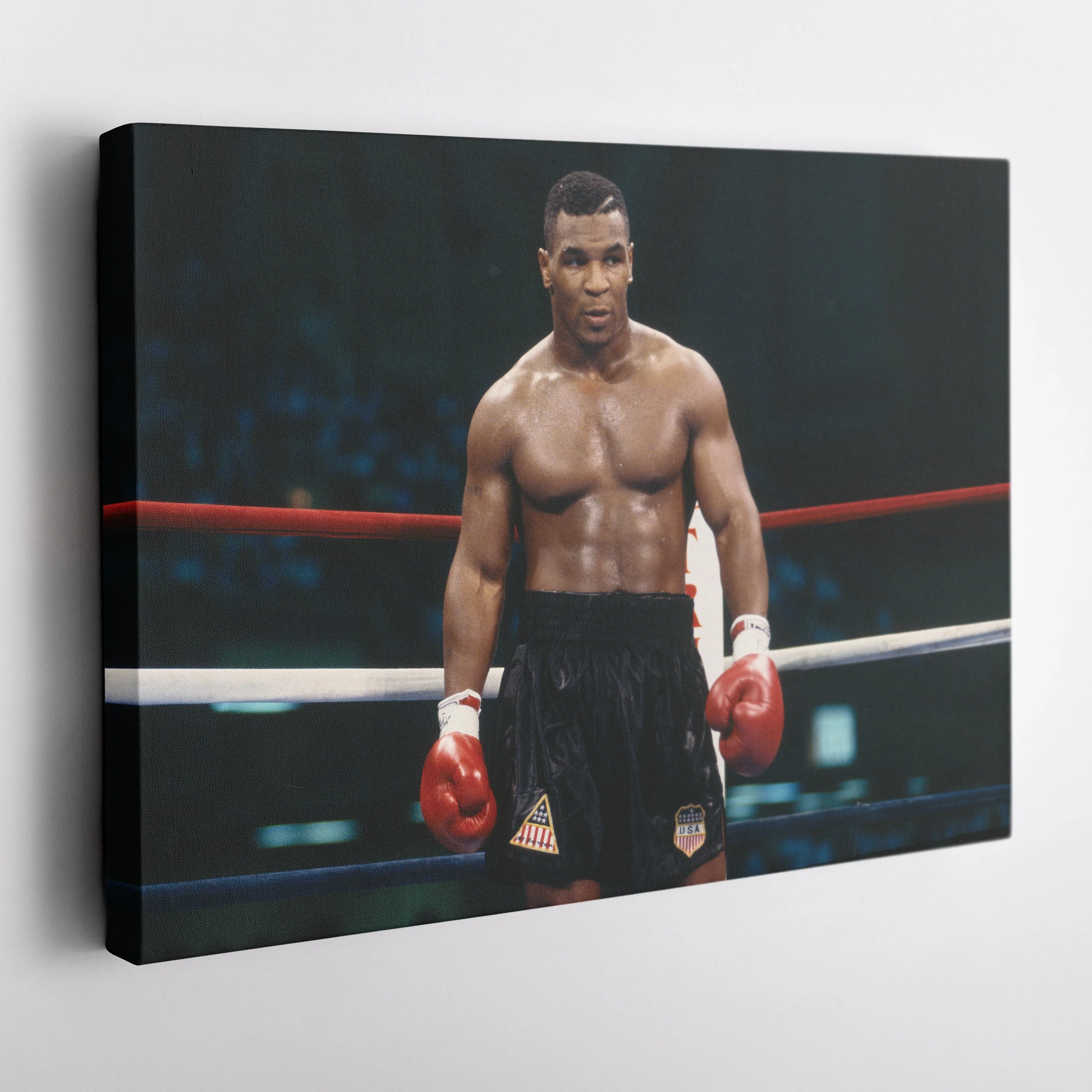 Mike Tyson Canvas Boxing Wall Art - Image 5