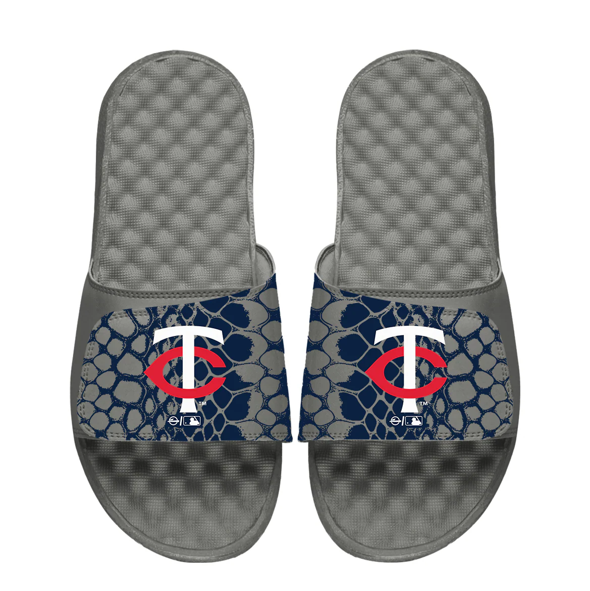 Minnesota Twins Year of the Snake