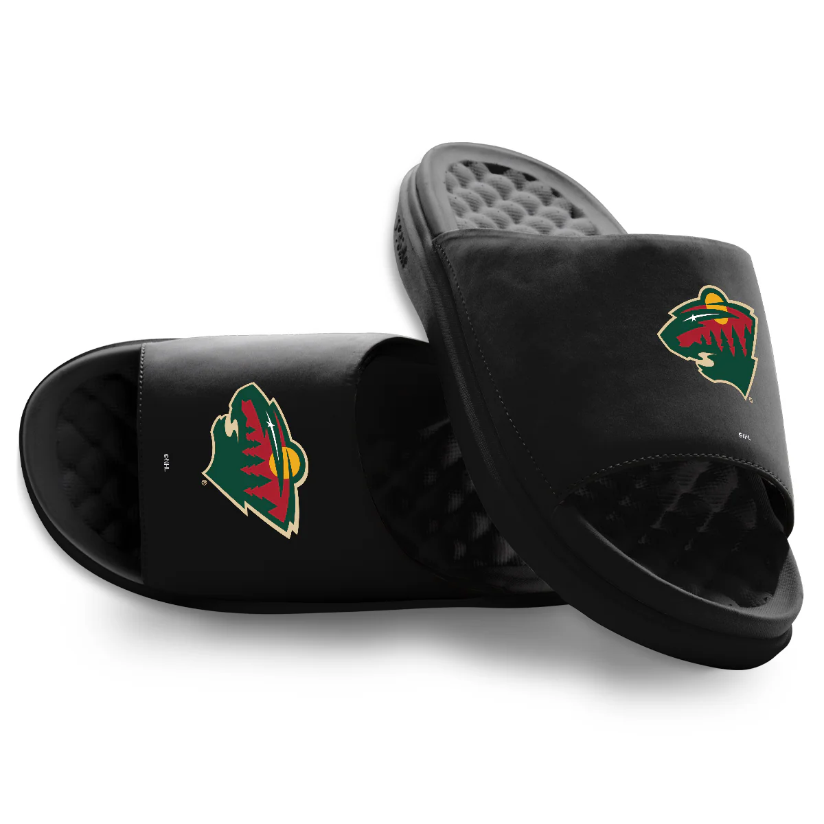 Minnesota Wild Primary Motive