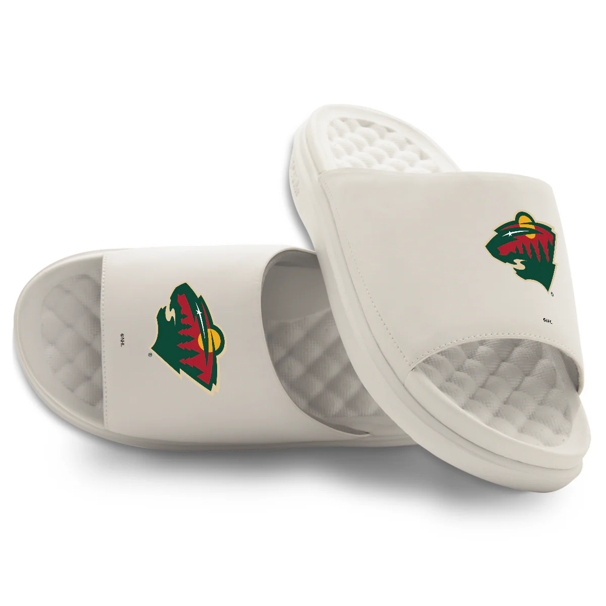 Minnesota Wild Primary Motive - Image 7