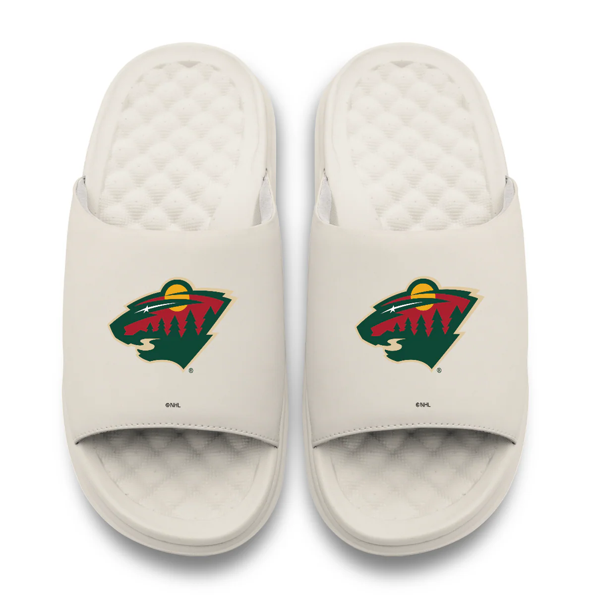 Minnesota Wild Primary Motive - Image 8