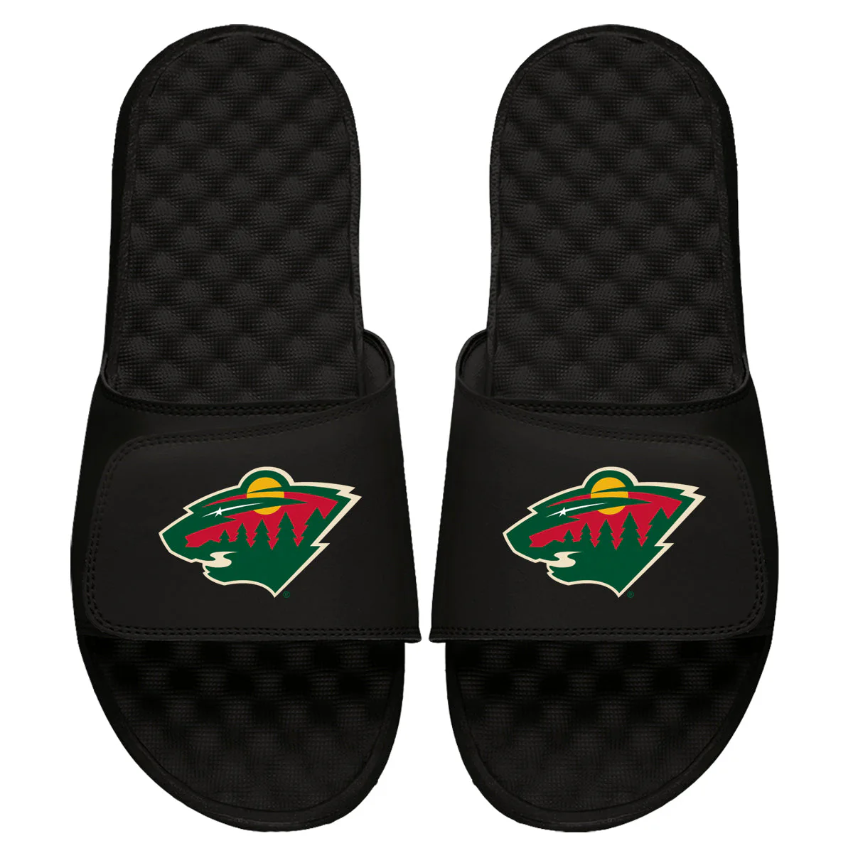 Minnesota Wild Primary Slides