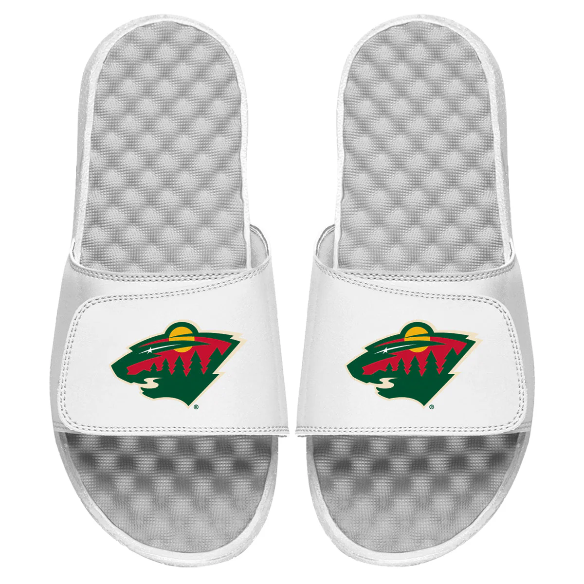 Minnesota Wild Primary Slides - Image 2