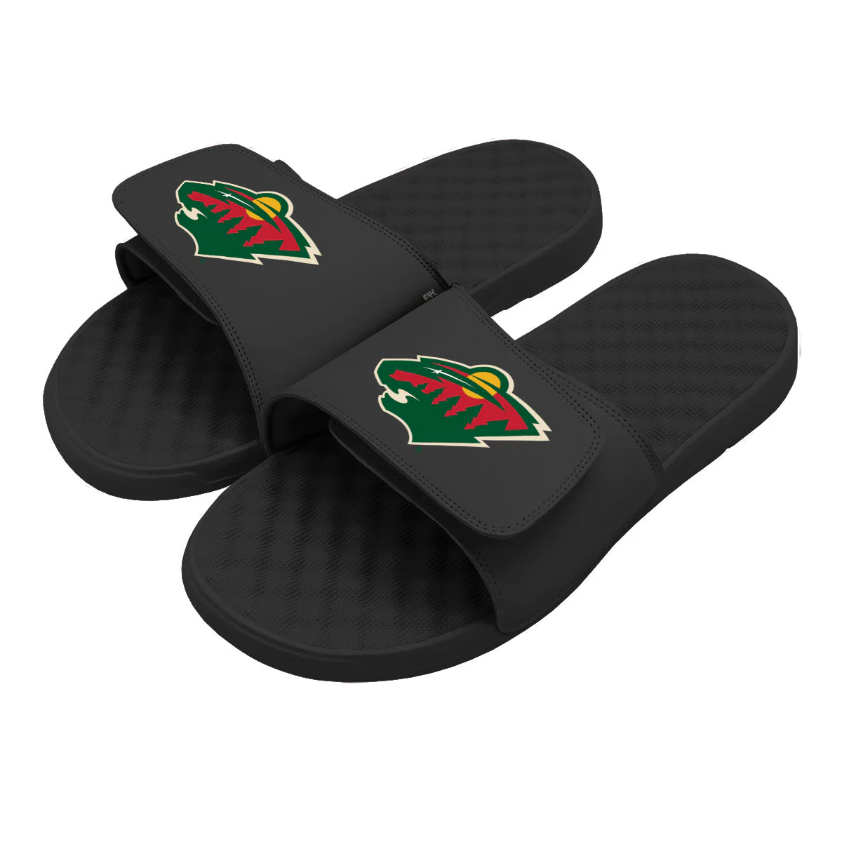 Minnesota Wild Primary Slides - Image 3