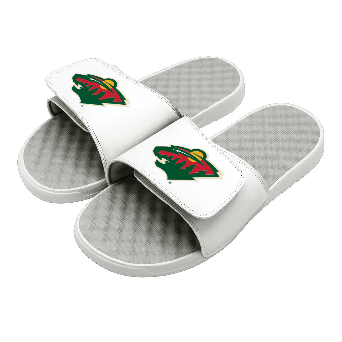 Minnesota Wild Primary Slides - Image 4