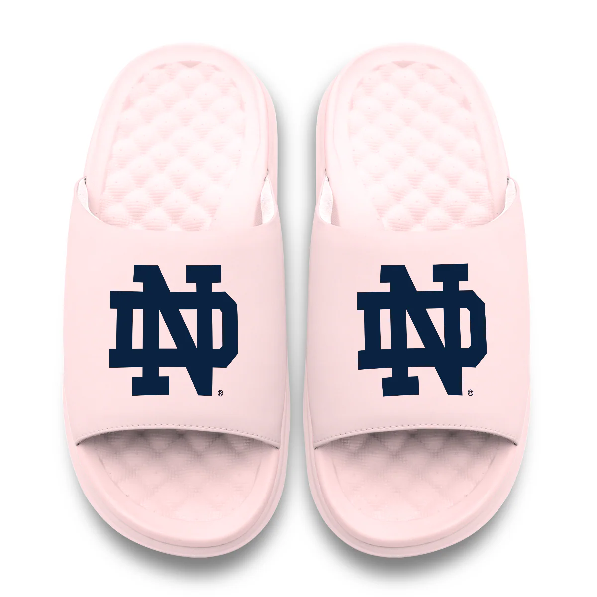 Notre Dame Fighting Irish Primary Motive - Image 13
