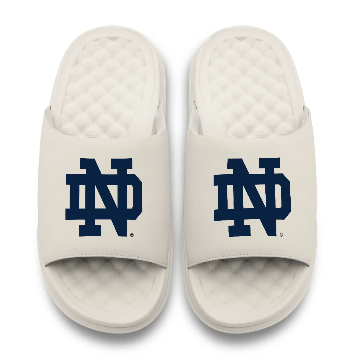 Notre Dame Fighting Irish Primary Motive - Image 8