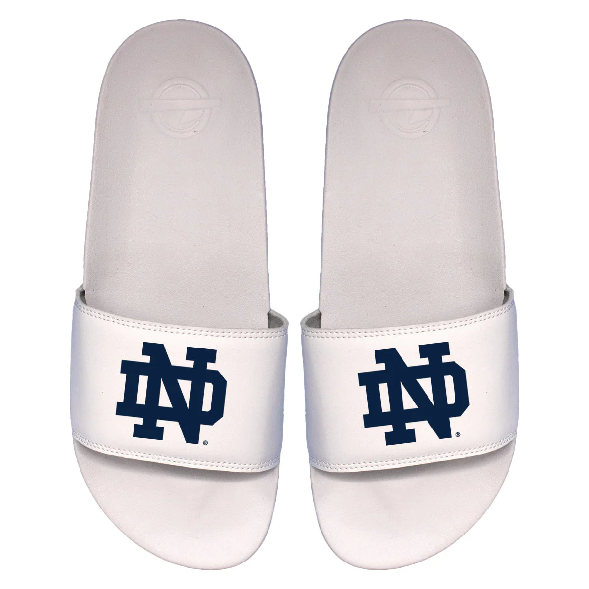 Notre Dame Primary Motto Slides - Image 2