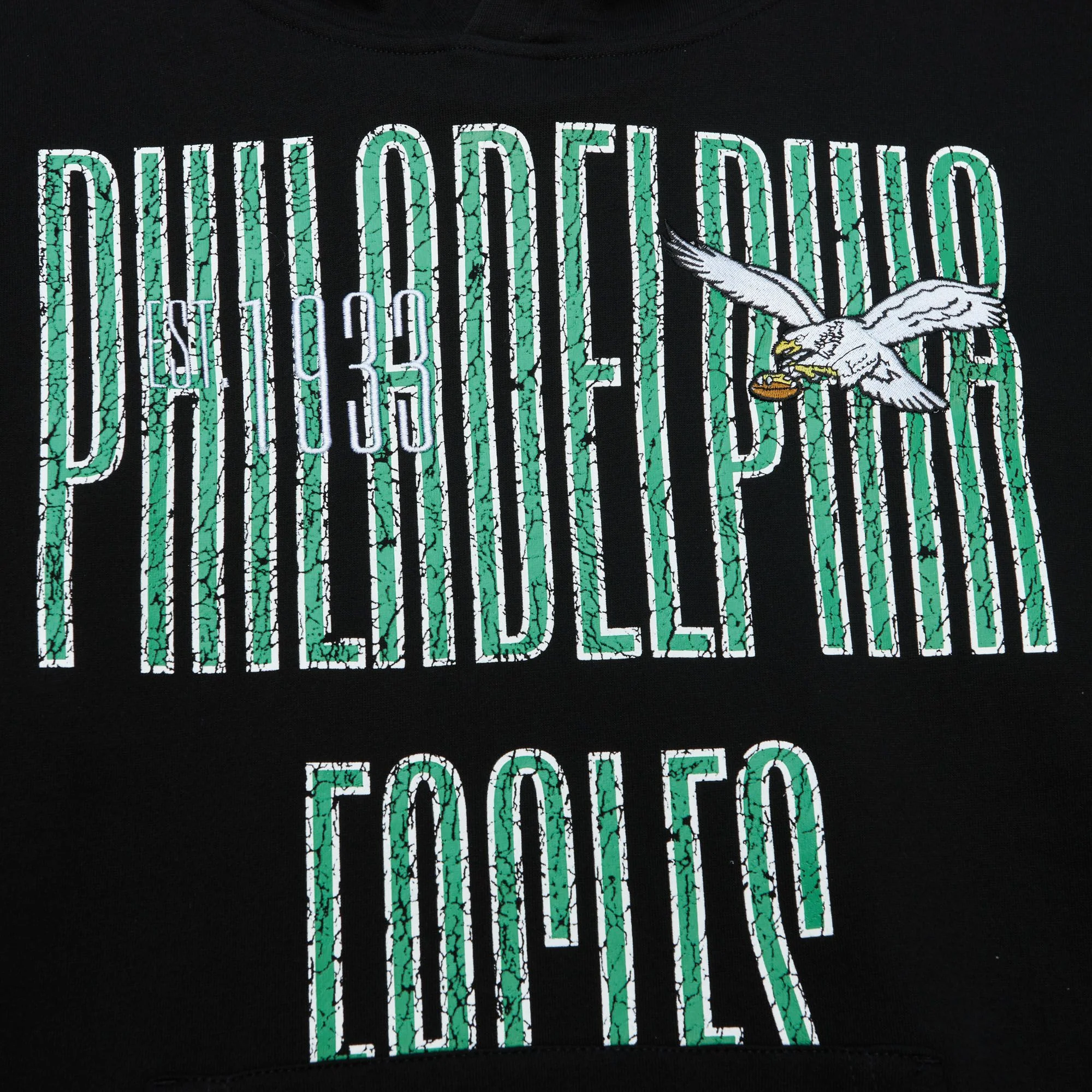 Philadelphia Eagles Throwback OG Fleece 2.0 Hoodie - Image 3