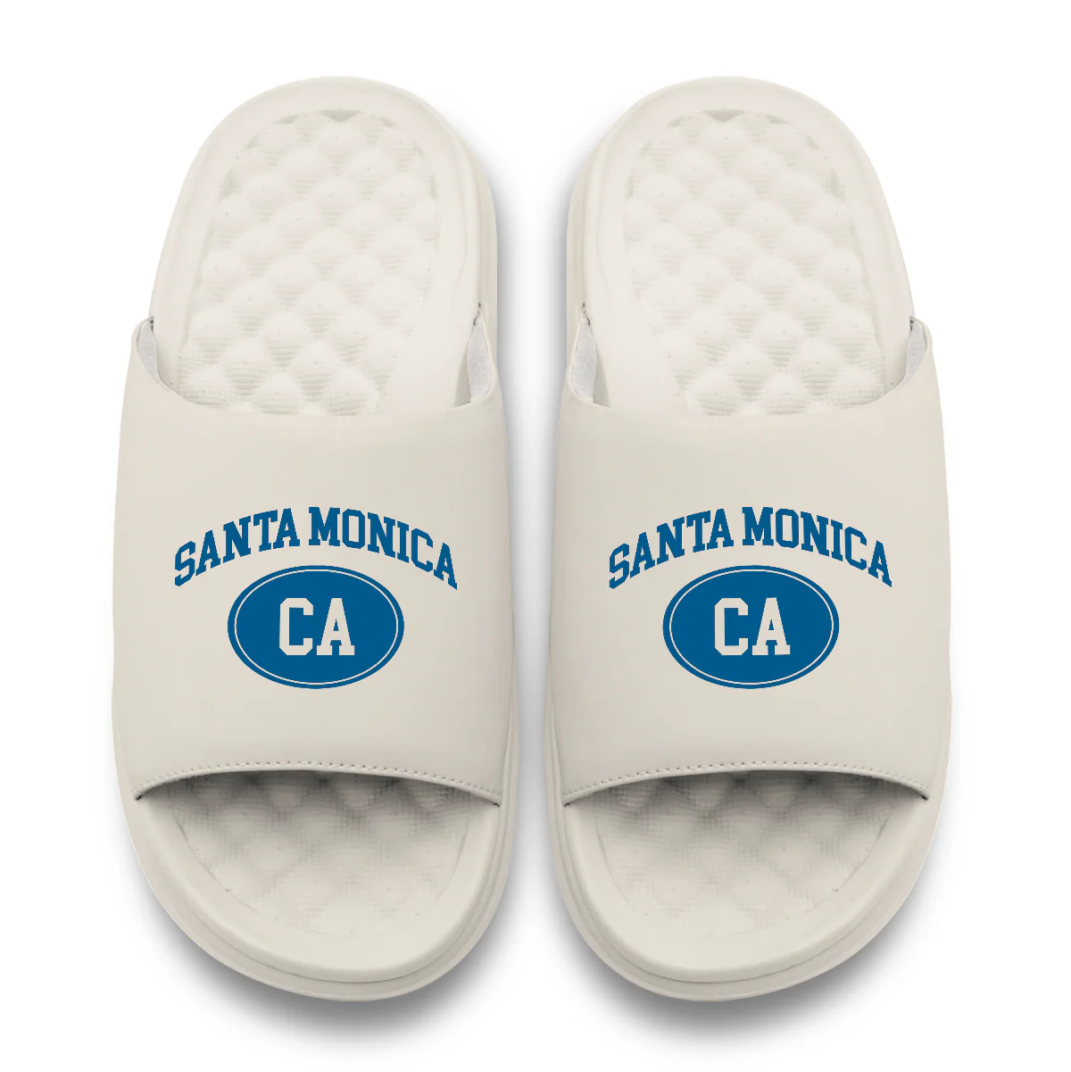 Santa Monica Motive Slides - Image 2
